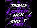 TRIBALS IO PRO MENU