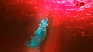 حصريا فاصل جديد قناة أمبيسي العراق من تقليد قناة الجزيرة القطرية 2024 