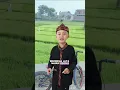 Download Lagu LAGU DAERAH MANUK DADALI | AL MUMTAZ #shorts #short #shortvideo #fyp #manukdadali