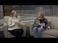 5 p m Small Dog Rescue Cujo