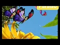 Paraiso by: One Click with Lyrics