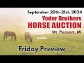 Friday - 2024 Yoder Brothers Horse Auction