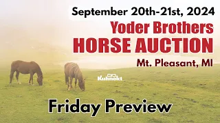Friday - 2024 Yoder Brothers Horse Auction