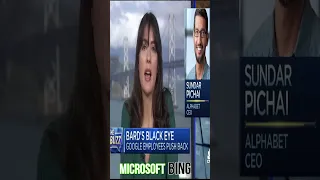 Microsoft Bing Revealed 