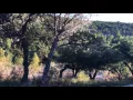 Frio River Cabins Texas Staycation Resort River Bluff