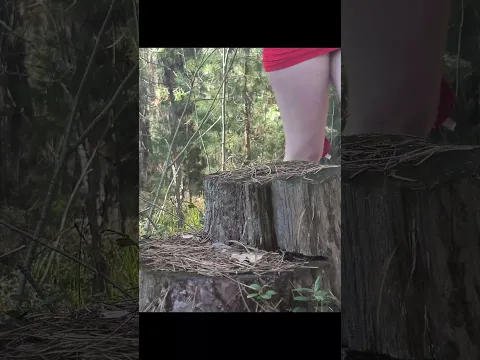 This GIRL Was Filmed Making a New Life Hack In The Forest!🩲🤯#survival #lifehack #bushcraft