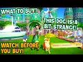 NEW Premium Shop Review in DDLV Elemental City Bundle Shiba Inu Dog Are New Items Worth It