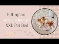 How to set up and fill your Ambient Lounge Luxury XXL dog bed ambient lounge