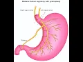 Vagotomy CPT code - simplify medical coding