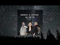 Sertab Erener - Bu Böyle (Berkai x ATHOS Remix)