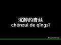 沉醉的青丝 (chen zui de qing si) - 曲甲 (Lyric Video)
