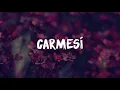 Vicente García - Carmesí (Letra/Lyrics)