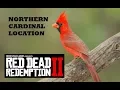 Red Dead Redemption 2 Northern Cardinal Location