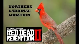 Red Dead Redemption 2 Northern Cardinal Location