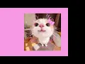 TRFN - Paradise | Slowed + reverb | 