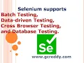 Selenium supports Batch Testing Data-driven Testing Cross Browser Testing and Database Testing