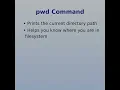 Basic Linux Command Embedded Systems