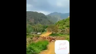 اسهر وليلي يطول أيوب طارش  من اجمل الاغاني اليمنية القديمة دندنها