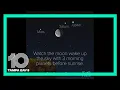 3 planets the moon light up early morning sky