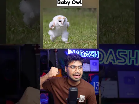Animals You've NEVER Seen As Babies 😱