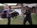 Last Stand Man s Desperate Fight to Save His Car from Bounty Hunter D