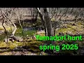 Lagu Yamadori Hunt spring 2025