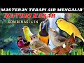 Download Lagu masteran kombinasi 6in1 #shots #youtubeshorts #youtube