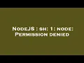 NodeJS sh 1 node Permission denied