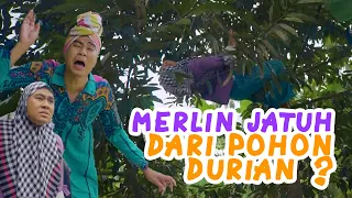 Download 🔴  MERLIN JATUH DARI POHON DURIAN  MP3