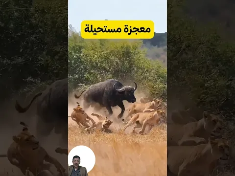 فيآخر ثانية: معجزة مستحيلة تقلب موازين الغابة #shorts