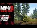 4 easy blackberry locations Red Dead Redemption 2 Online