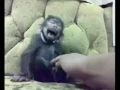 Chango borracho