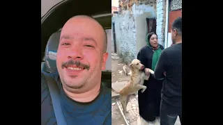 محلتهاش الا بوكا بتحبنى يابا       زوزكا  مصر  الغربة  اشتراك  دندنها