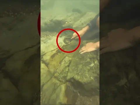 Man Found A Treasure Under Water #shorts