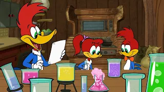 Teacher Woody! 🍎 | Woody Woodpecker