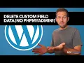 How To Delete Custom Fields From Wordpress Without PHPMyAdmin