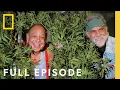Download Lagu Legal Marijuana in America: The New Green Rush (Full Episode) | Nat Geo Investigates