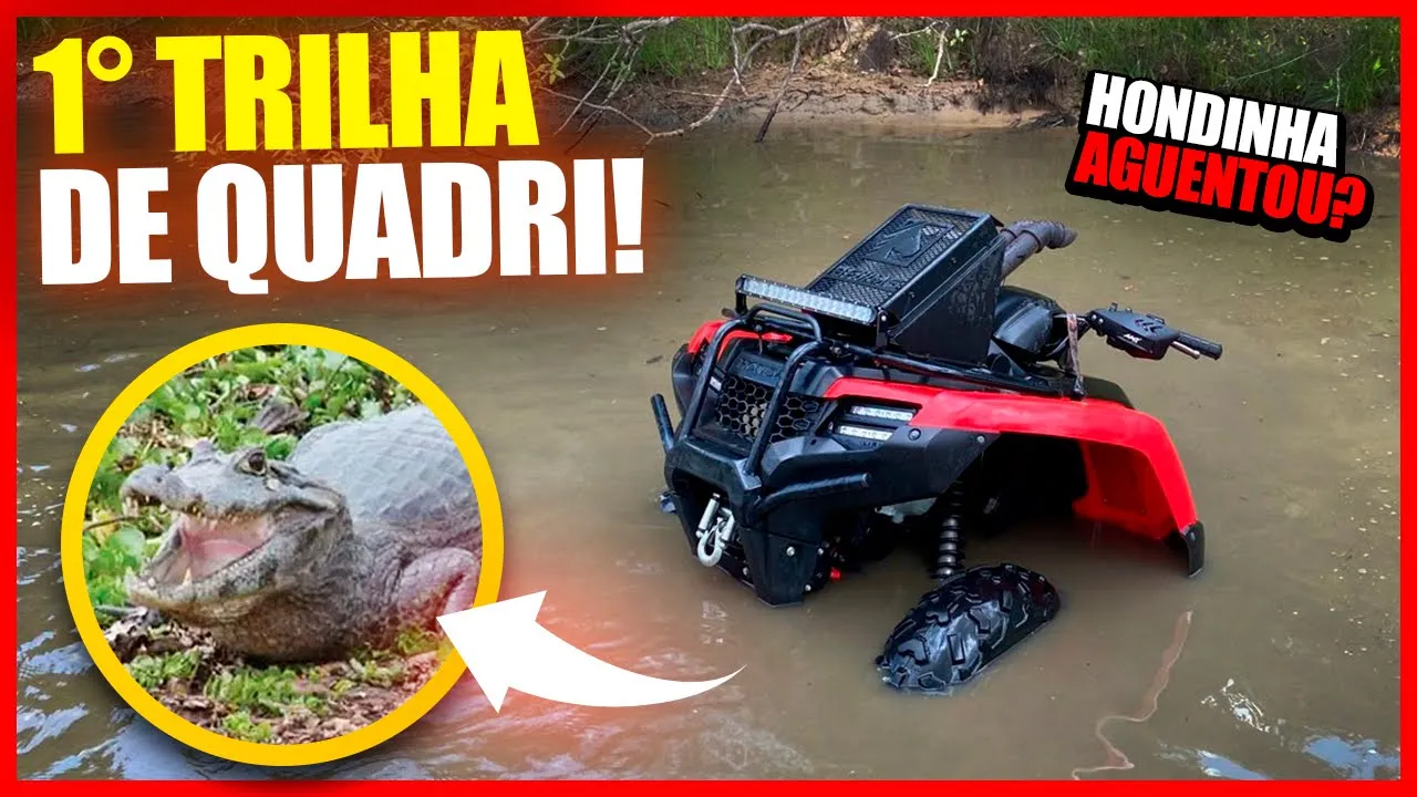 TAQUEI O QUADRI NUM BREJO E DEI DE CARA COM UM JACARÉ!!!