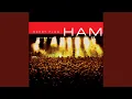 Download Lagu Animalia