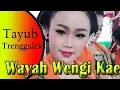 Gending Tayub Sor Teroban Wayah Wengi Kae - Tayub Jawa Timur