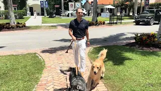 U.S. Polo Assn. | We took the dogs to the U.S. Polo Championships 👀