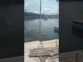 Download Lagu Tambak ikan nila dan ikan koi di wadas lintang