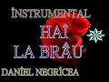 Download Lagu █▬█ █ ▀█▀ 2023 -BRAUL LUI DANCIU DANIEL NEGRICEA