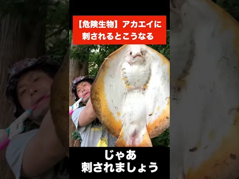 ※絶対にマネしないでください