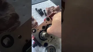                                                                                                 دندنها
