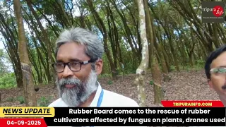 Rubber Board Comes To The Rescue Of Rubber Cultivators Affected By Fungus On Plants Drones Used 