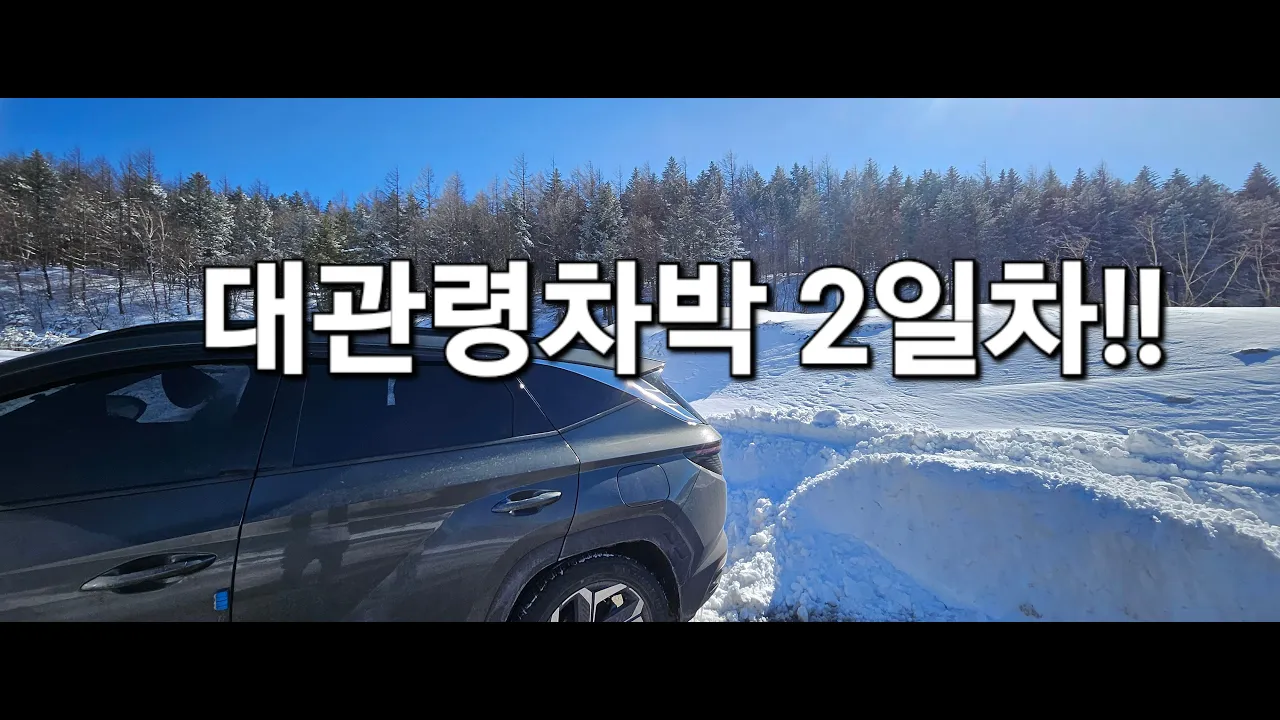 15.(대관령차박2일차)눈이부시게 하얀차박!설중차박,평창차박,대관령차박,50대여성솔로차박,투싼차박,SUV차박,SUV캠핑카,노지차박,스텔스차박,차박여행 썸네일