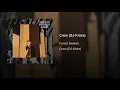 Crow (DJ-Kicks)