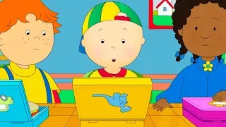Caillou and the Lunch Box Caillou Cartoon