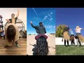 Download Lagu Horse racing dance challenge  Tiktok Video Compilation 2020 #Horseracing